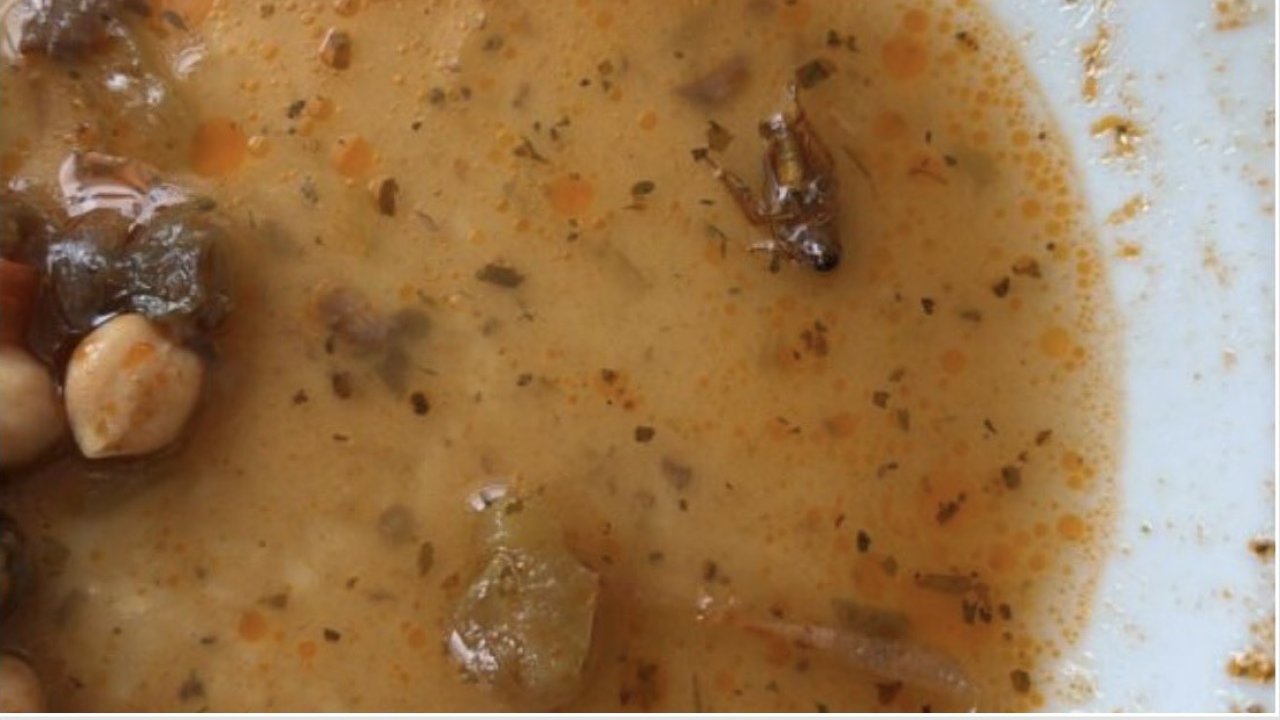 Mide bulandıran haber! Gaziantep Üniversitesi Hastanesi’nde yemekte böcek çıktı! Gaziantep Üniversitesi’nden açıklama bekleniyor