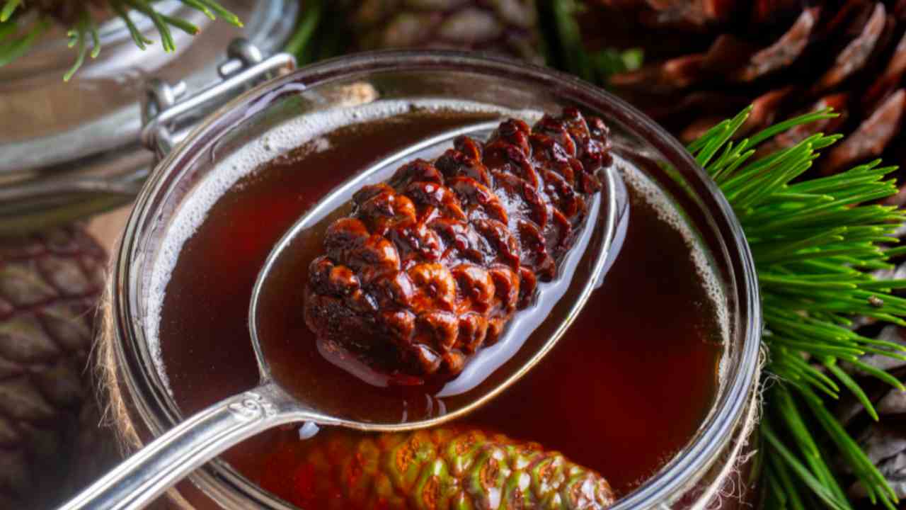 Kozalak Pekmezi ve Çanak Enginar: Faydaları, Kullanımı ve Dikkat Edilmesi Gerekenler