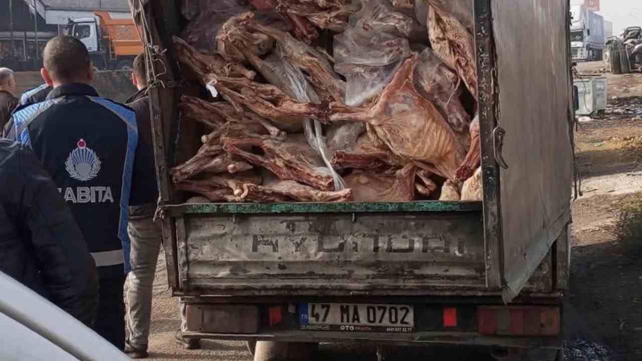 Gaziantep Böylesini Görmedi! İğrenç Görüntüler