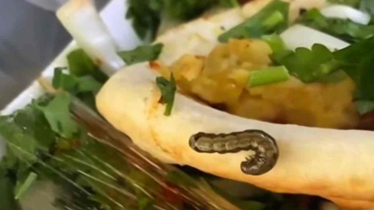 Gaziantep’te Nohut Dürümünden Kurt Çıktı...