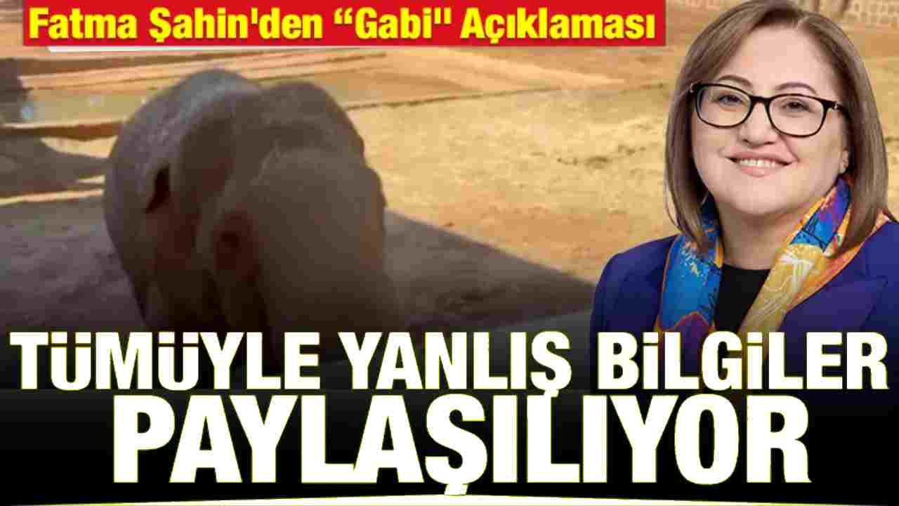 Fatma Şahin’den Fil “Gabi” Açıklaması: İddialara Sert Yanıt