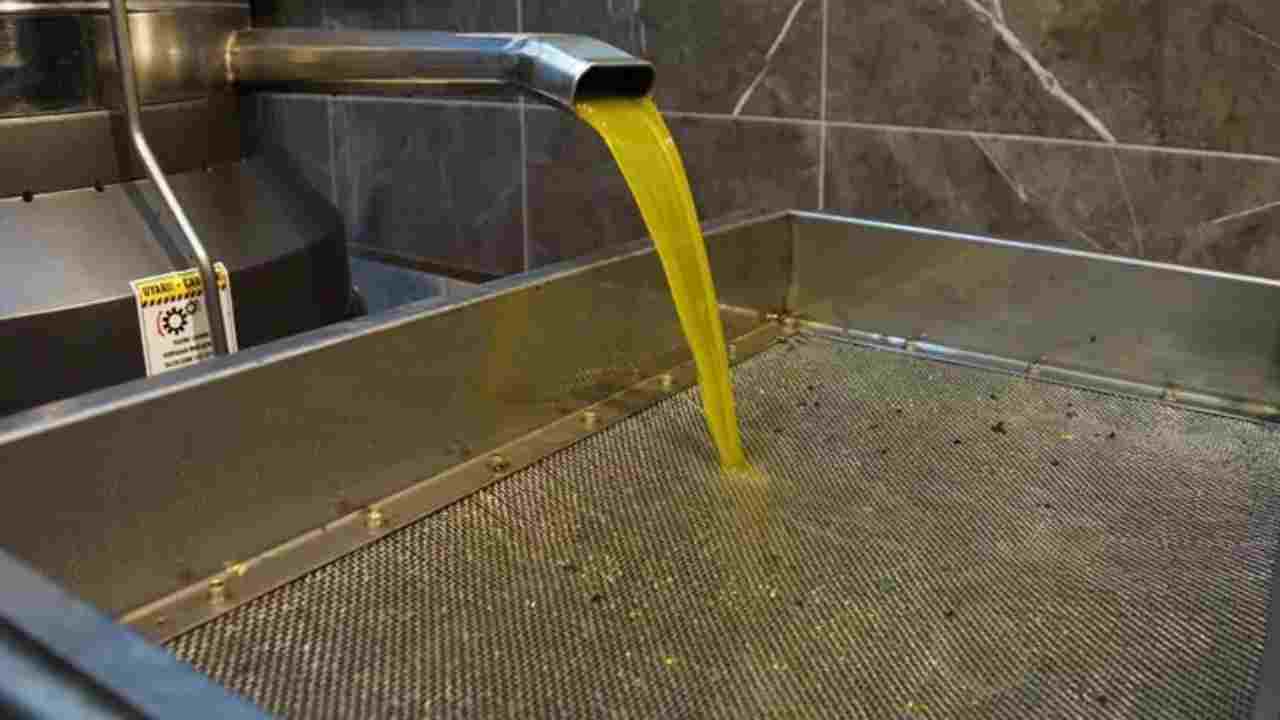 Gaziantep’te Zeytinyağı Fiyatları Uçtu! 18 Litrelik Teneke 8 Bin 500 TL’ye Dayandı