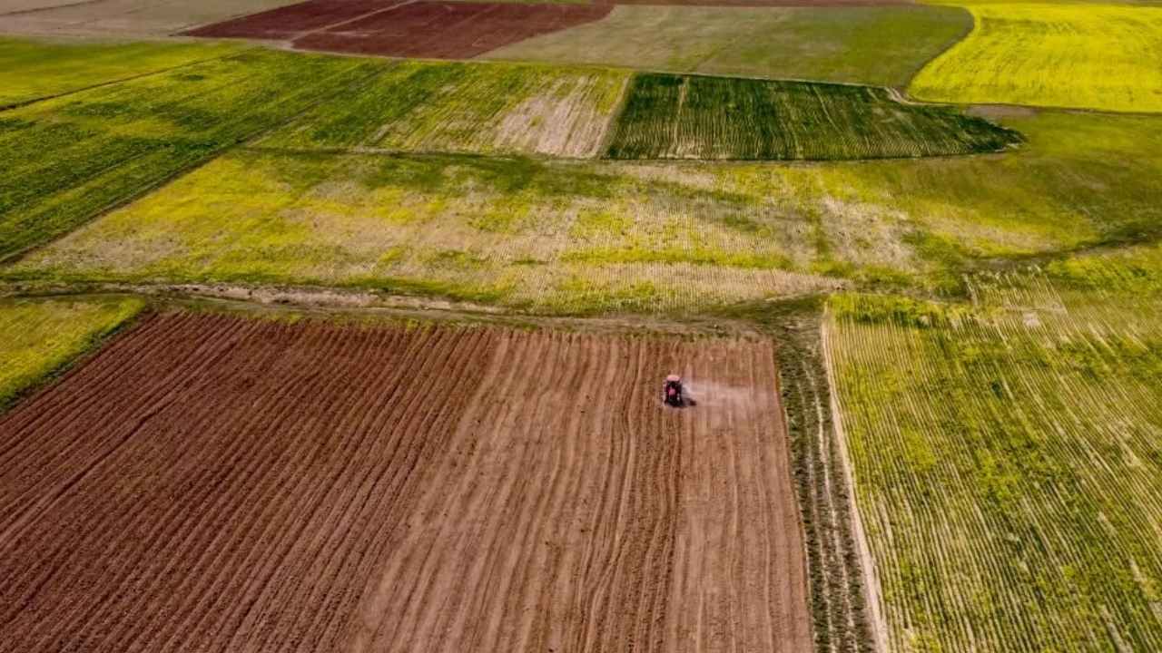 Gaziantep’te Emlakçıların Büyük Oyunu! Tarım Arazileri 700 Metrelik Hisselere Bölünüyor