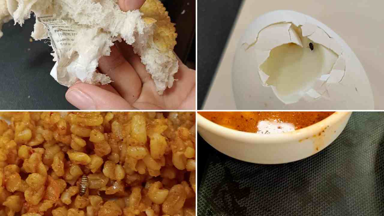 Gaziantep'te KYK Yurdu’nda Öğrencilere Bunları Yediriyorlar!