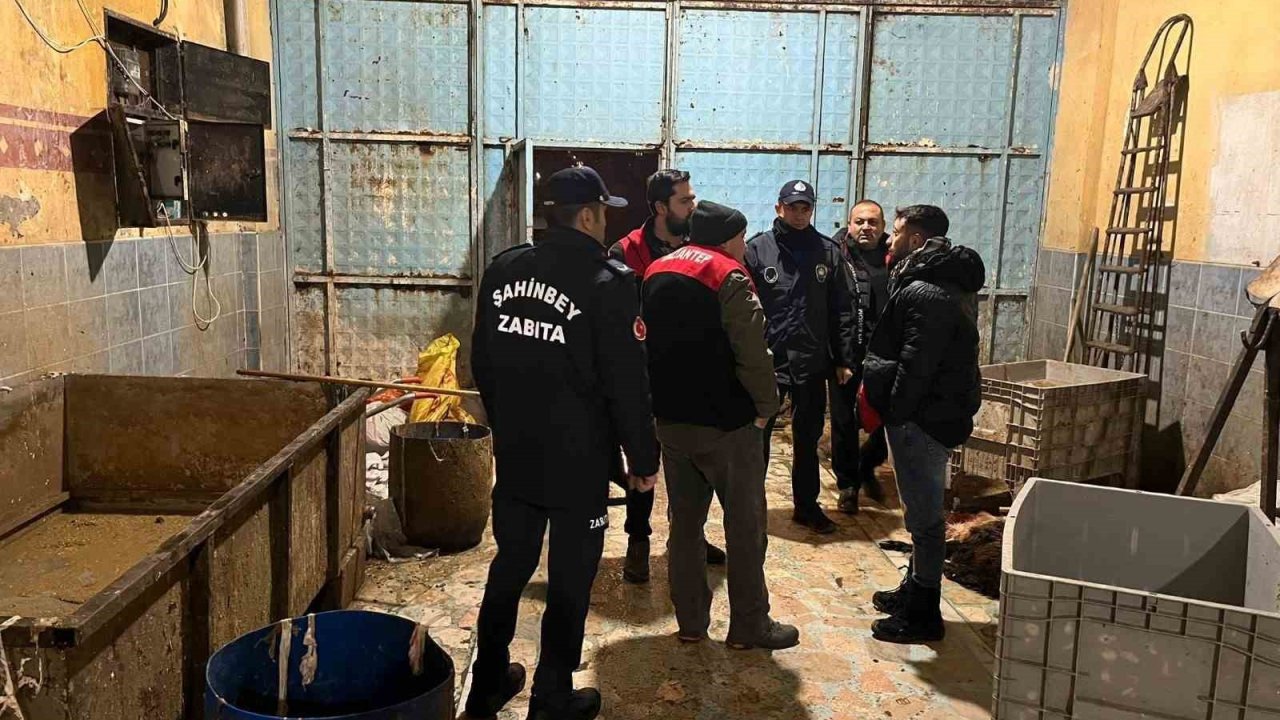 Gaziantep’te O Firmada Mide Bulandıran Manzara! Tam 1 Ton 300 Kilo