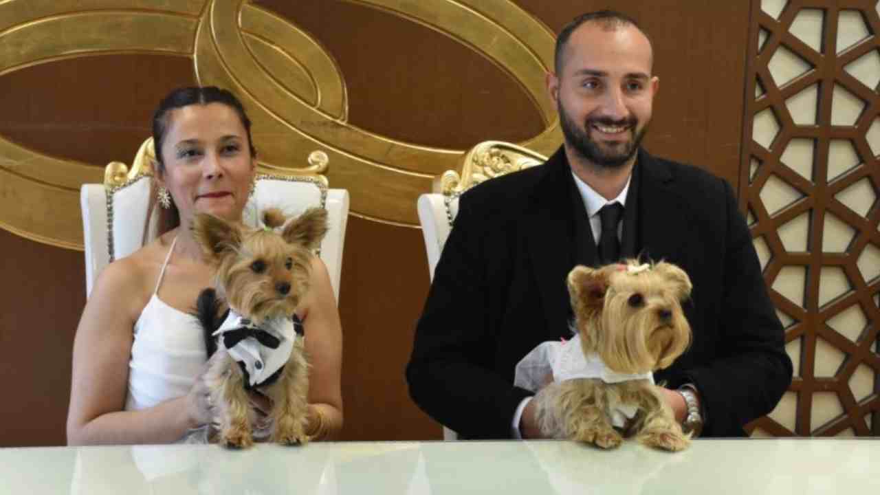 Gaziantep’te nikahın tüm kurallarını değişti! 'Betty' ve 'Barney' Evet Dedi