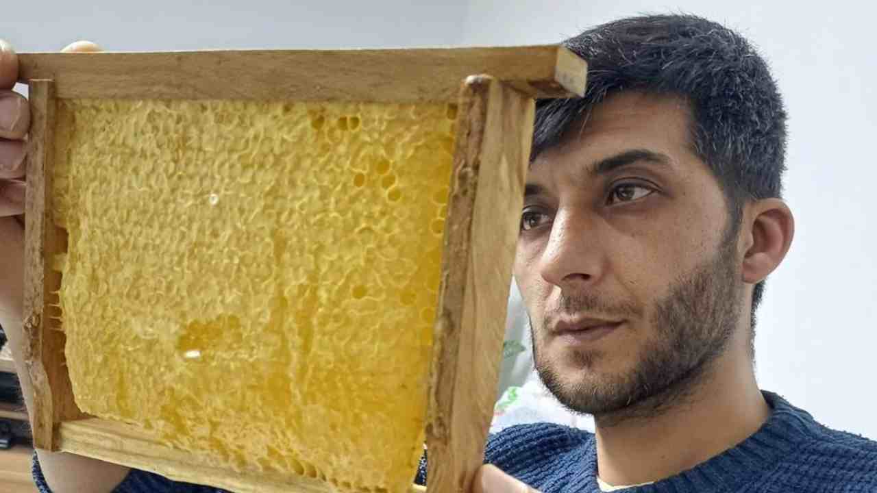 Gaziantep'in Sapsarı Altını: Talebe Yetişilemiyor, Kilosu 1000 TL!