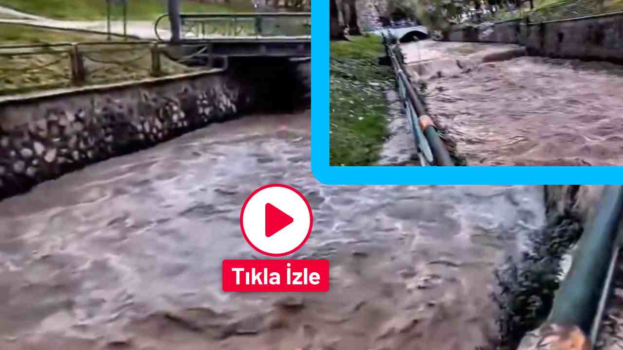 Gaziantep'te Alleben Deresi Taştı!