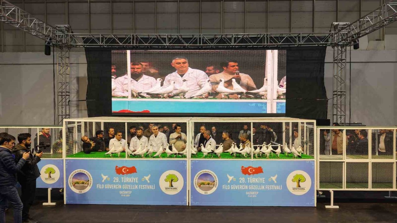 Gaziantep’te 'Güvercin Güzellik Festivali’ düzenlendi