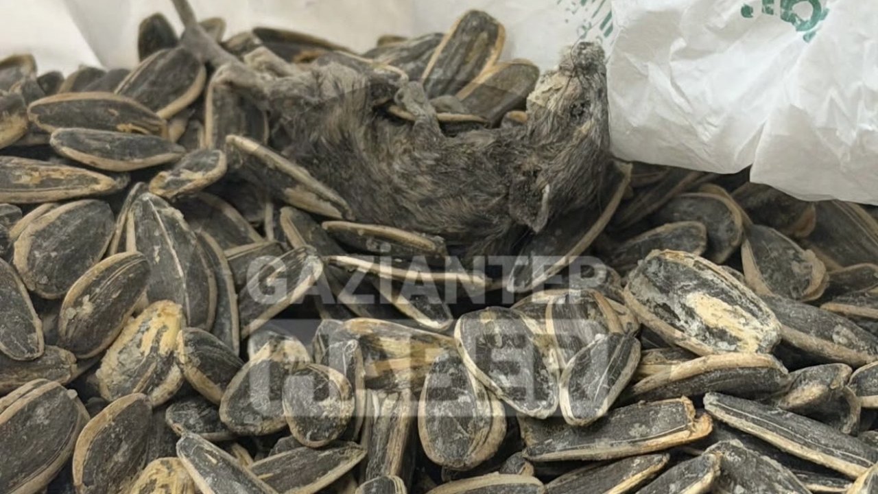 Gaziantep’te Marketten Alınan Çekirdek Paketinden Fare Çıktı