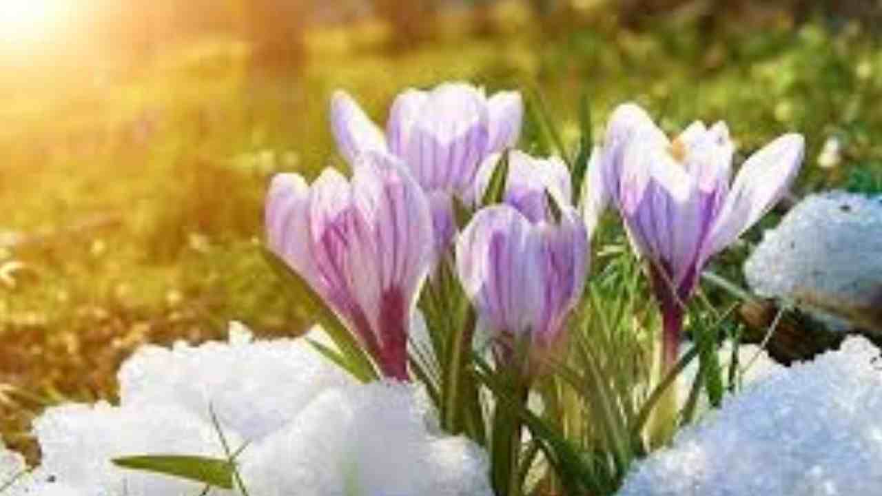 Gaziantep'te ilk cemre ne zaman düşecek? 2026 bahar takvimi belli oldu.