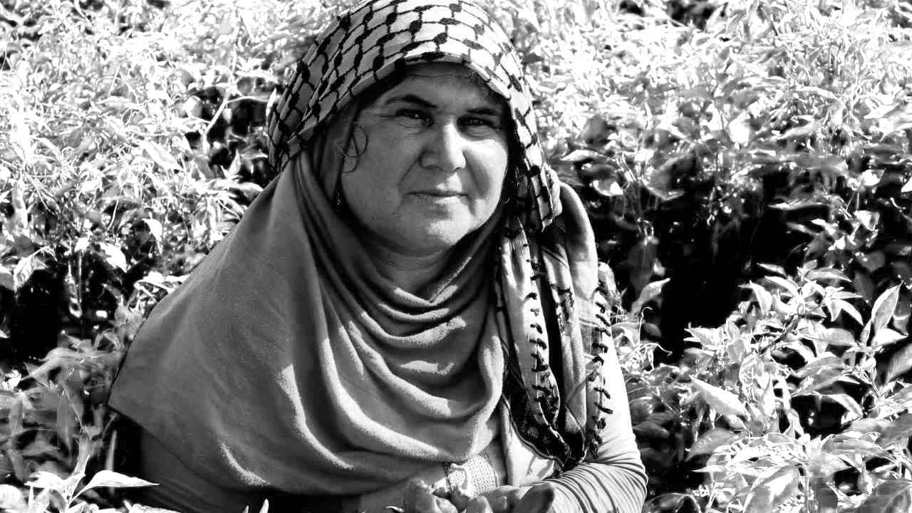 Gaziantep'in ‘Kırmızı Altını’ Sınırları Aştı! Hedef 15 Milyon Dolar