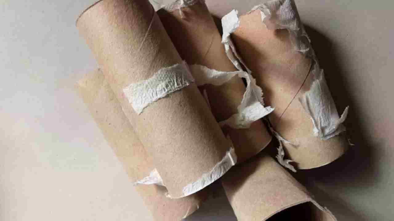 Tuvalet kağıdı rulosunu atan pişman oluyor: Bahçede ve evde işe yarıyor