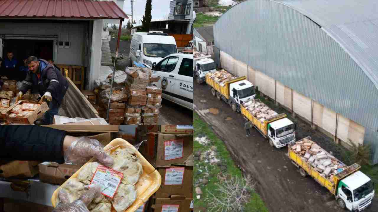 Komşu İl Şanlıurfa’da Kamyonlar Dolusu Bozuk Tavuk Ele Geçirildi