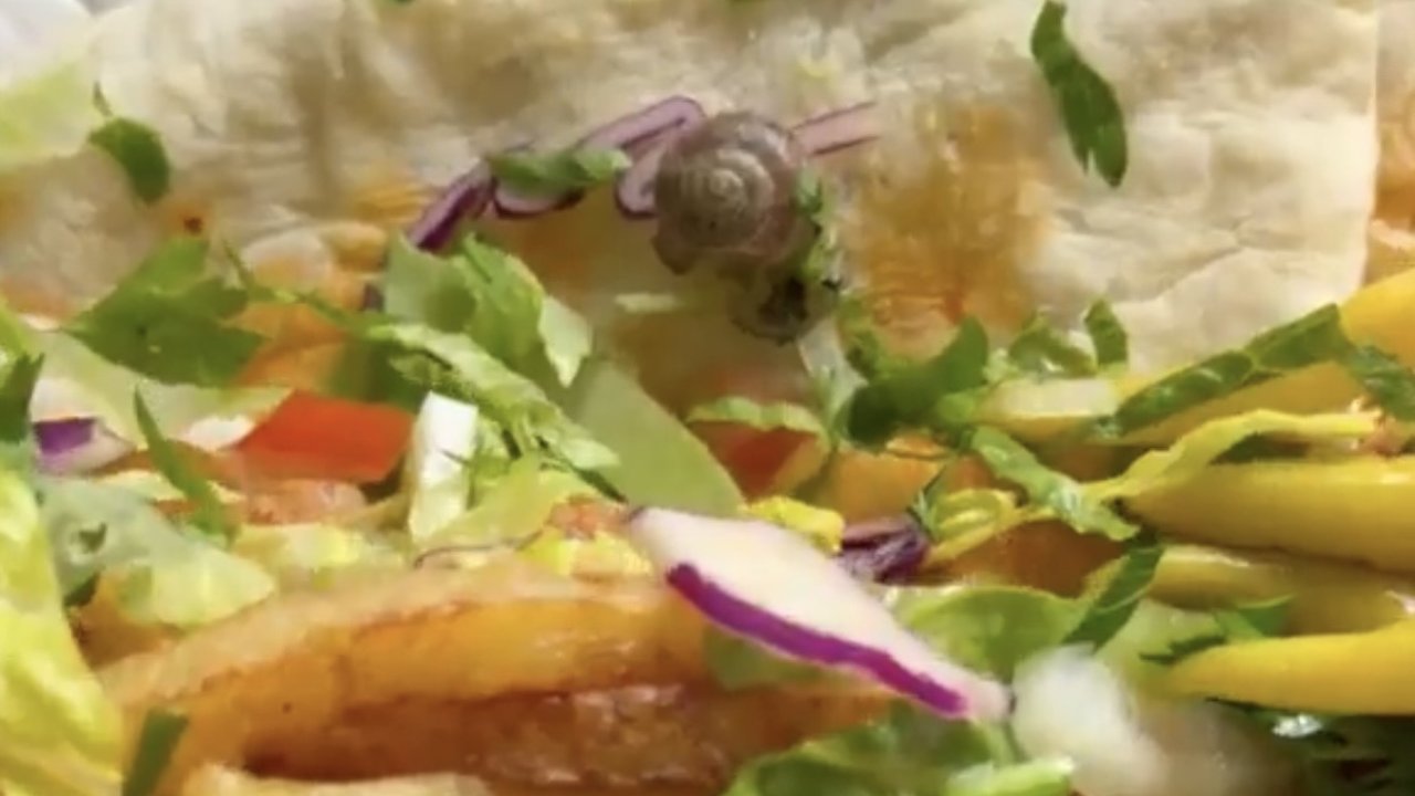 Gaziantep’te Şok İddia: Dürümcü Recep Usta’dan Alınan Dürümün İçinden Salyangoz Çıktı