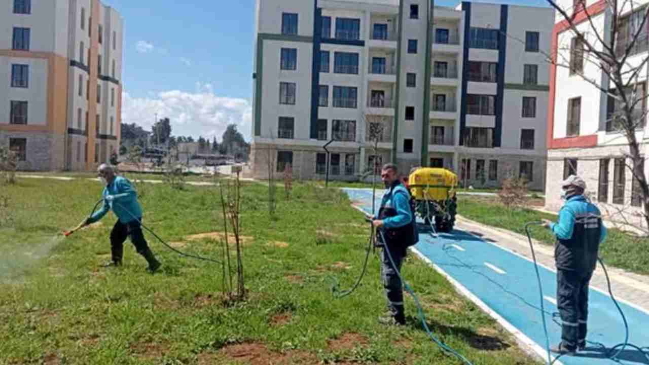 Araban TOKİ konutlarında yabani otlar ve haşerelerle ilaçlı mücadele başlatıldı