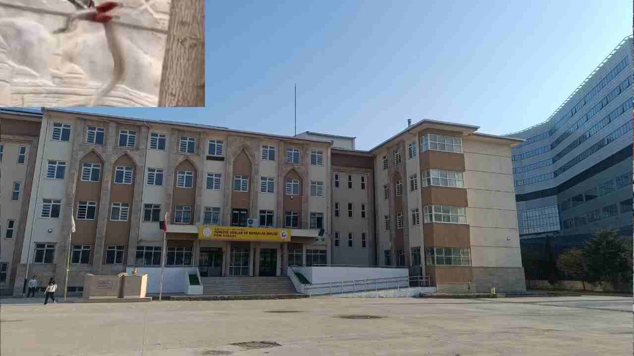 Gaziantep'te Fen Lisesini Yılanlar Bastı! İşte 'O' Anlar