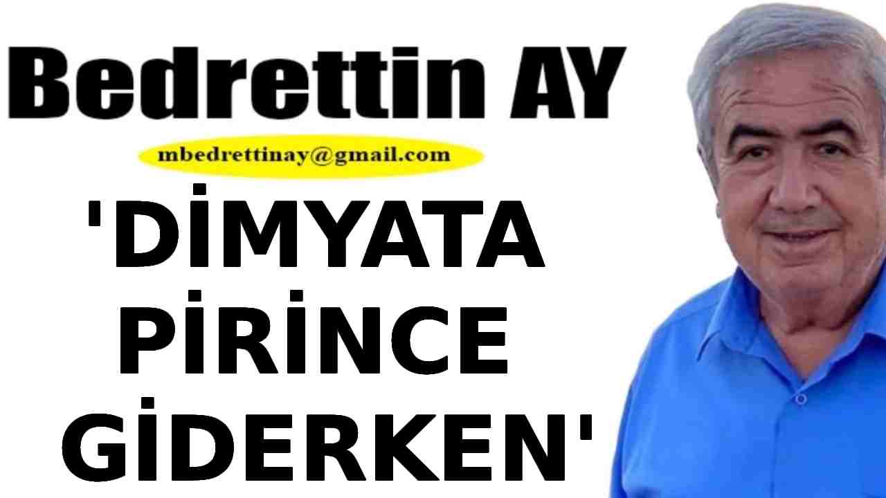 Bedrettin Ay Yazıyor: 'Dimyata Pirince Giderken…'
