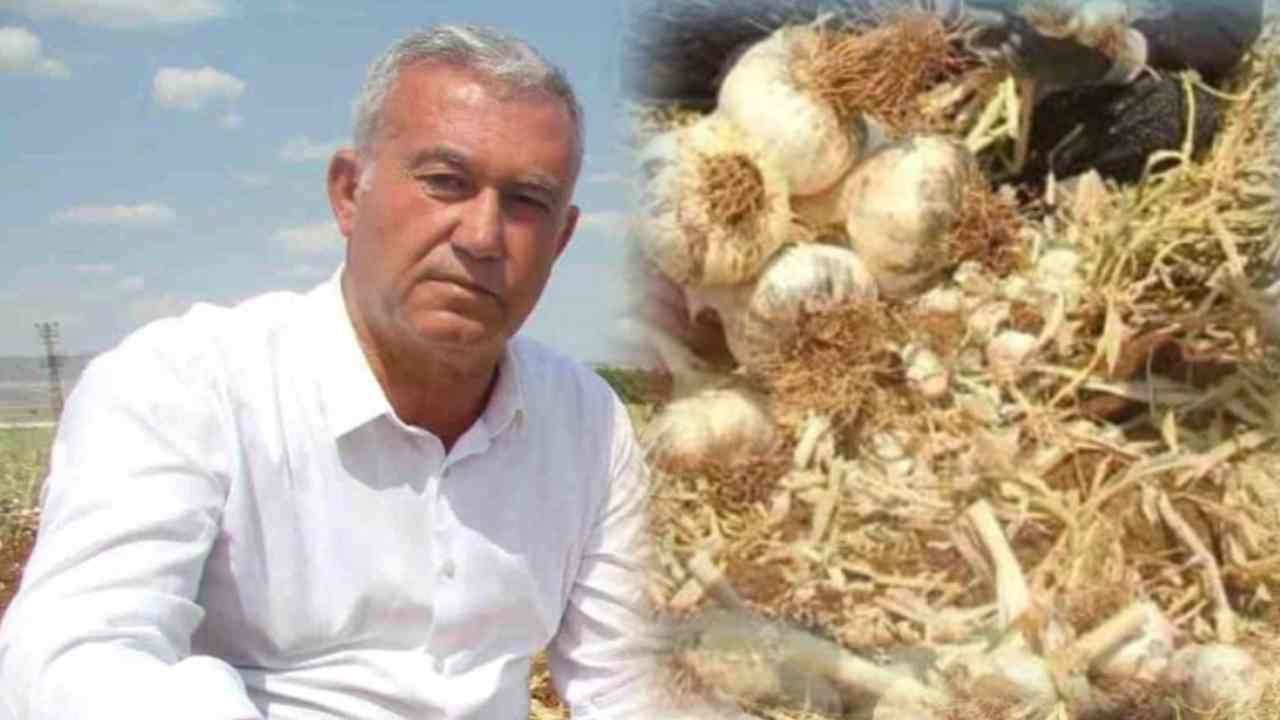 AB Tescilli Araban Sarımsağı dünya devleri arasında 5’inci seçildi