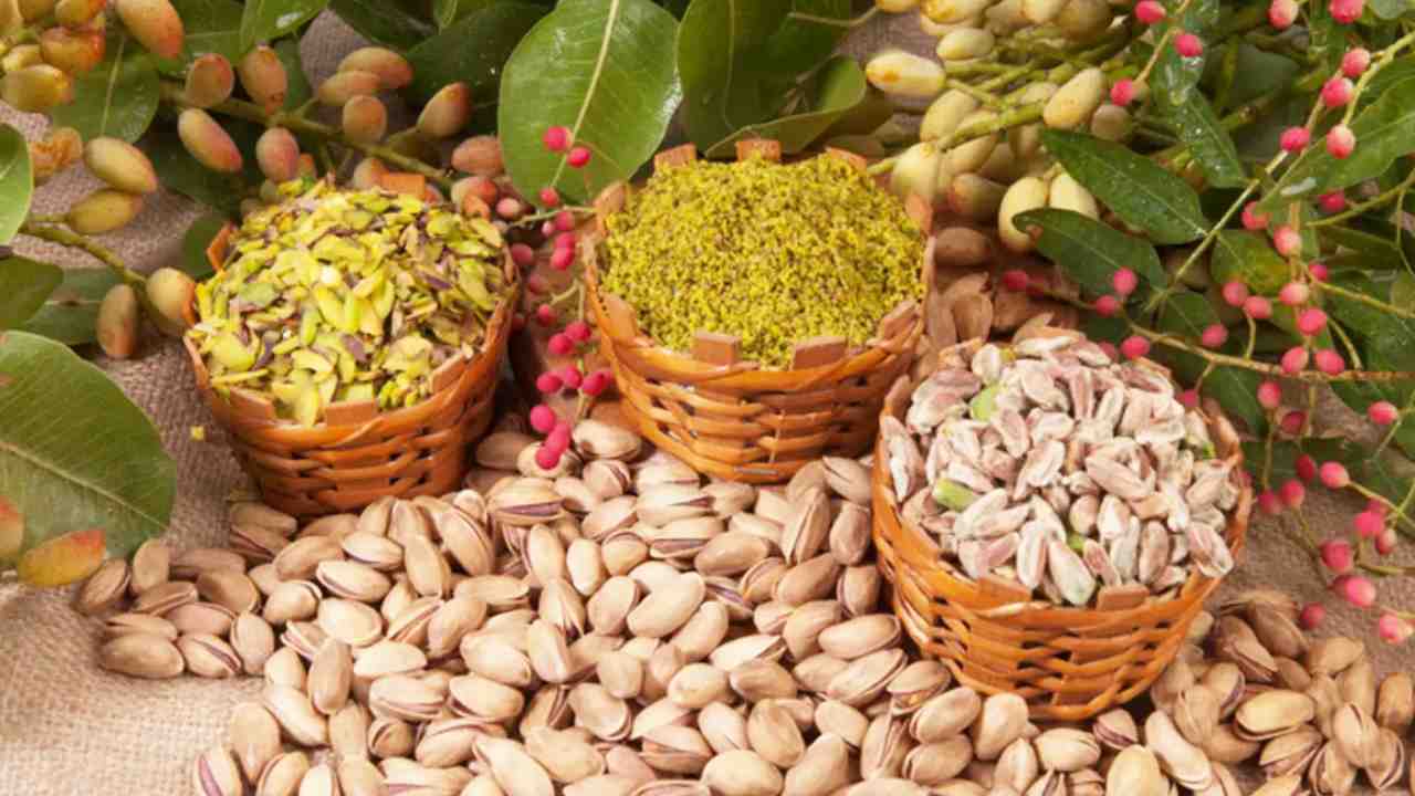 Dünya'da Gaziantep rüzgarı! Antep fıstığı dünya listesinde zirveye oynuyor