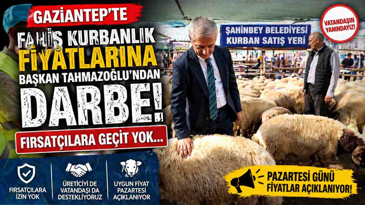 Gaziantep'te Fahiş Kurbanlık Fiyatlarına Darbe! Fırsatçılara Geçit Yok…
