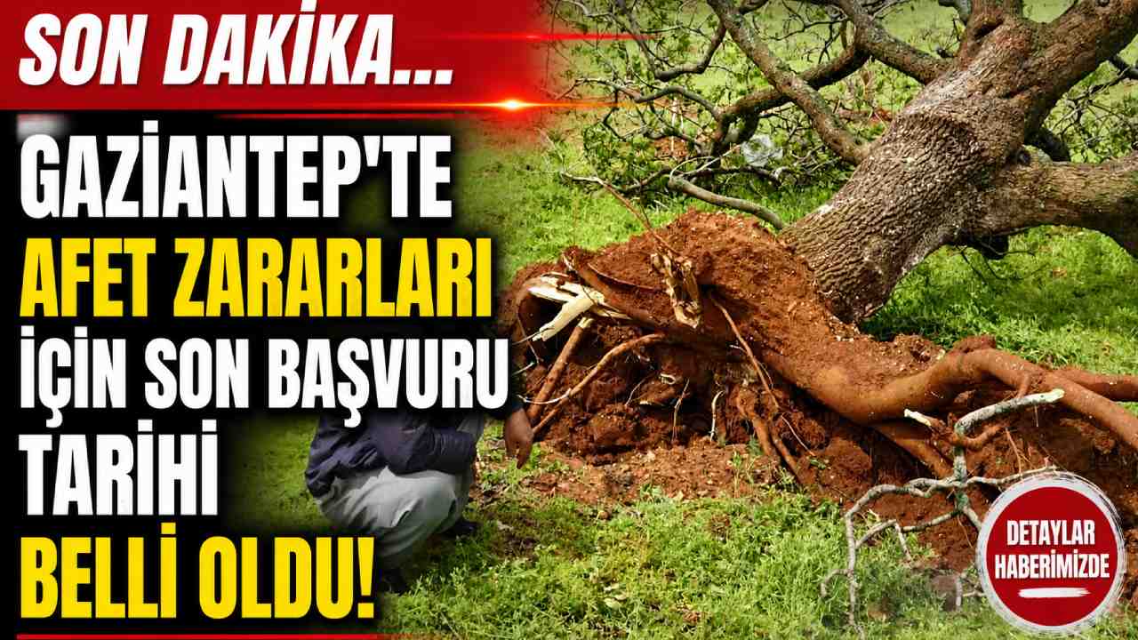 SON DAKİKA... Gaziantep Valiliği’nden Afetzedelere Son Çağrı!