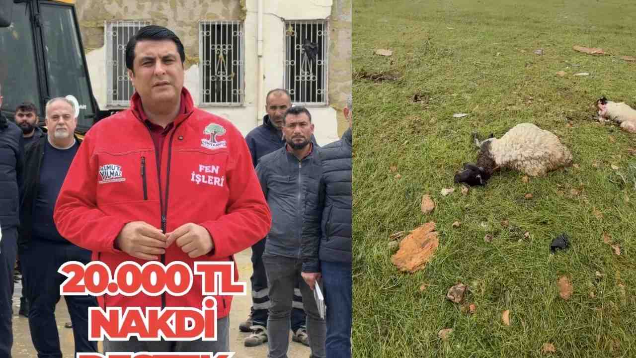 Gaziantep'e Başkan Umut Yılmaz Duyurdu: 20 Bin TL Yardım!