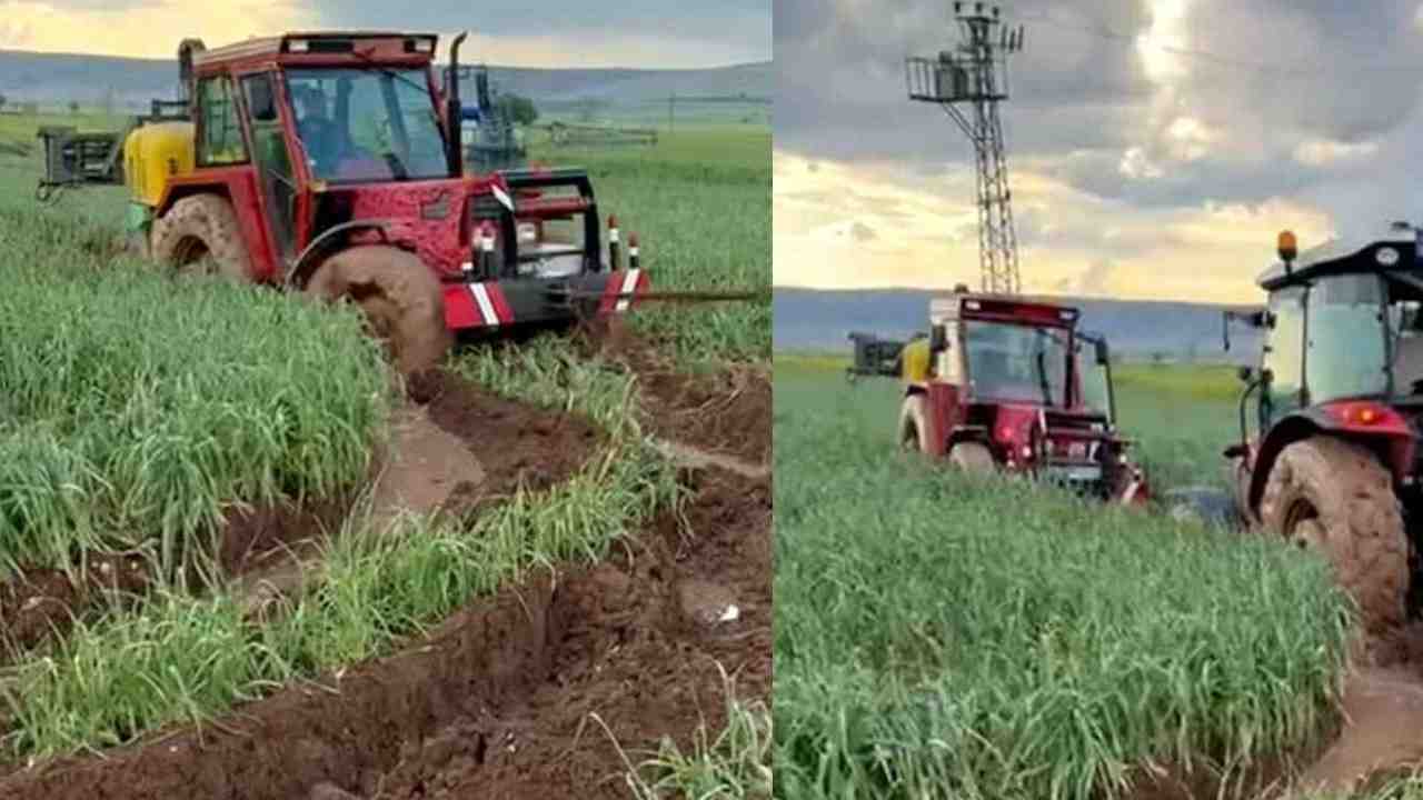 Araban Ovası’nda etkili olan yağışlar yeşil sarımsak hasadını geciktirdi