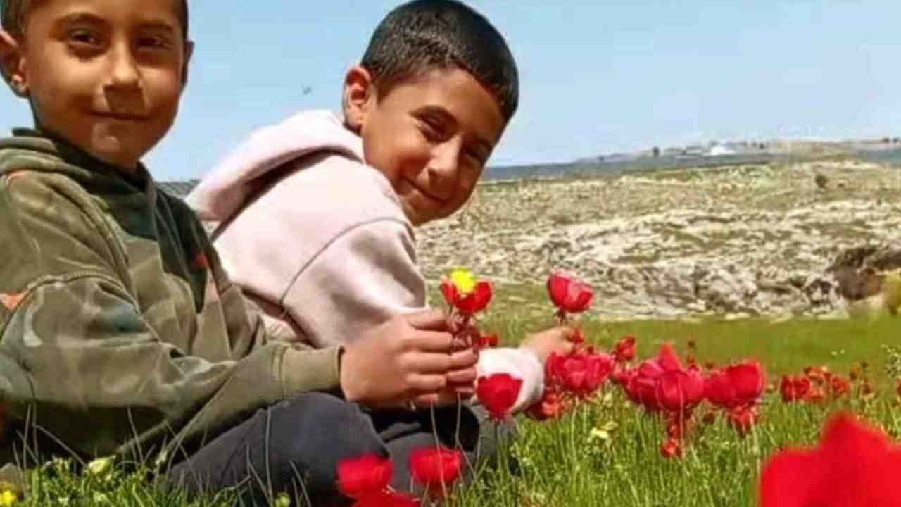 Araban Ovası’na bahar geldi