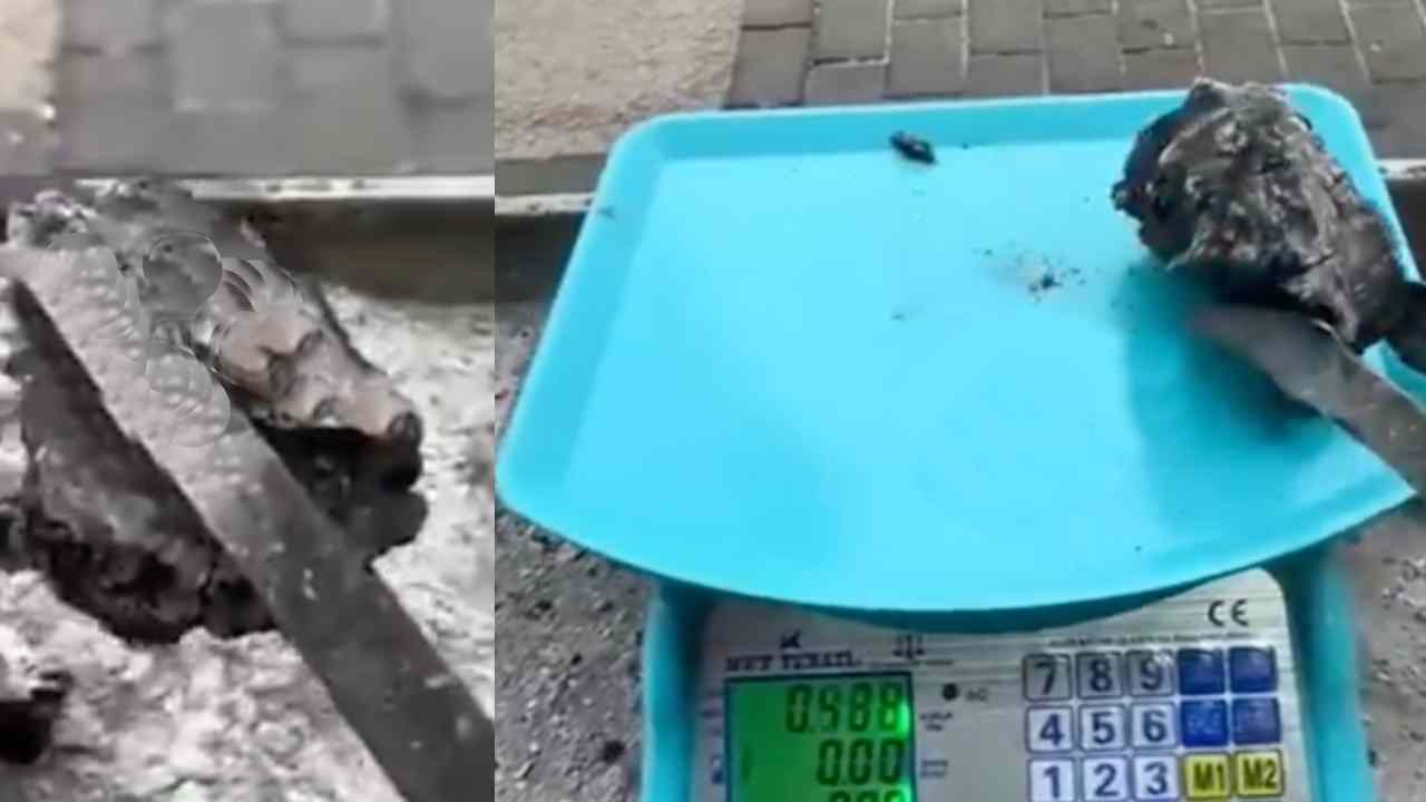 Gaziantep’te Mangal Kömürü Alan Vatandaşa Şok! İçinden Yarım Kilo Taş Çıktı!