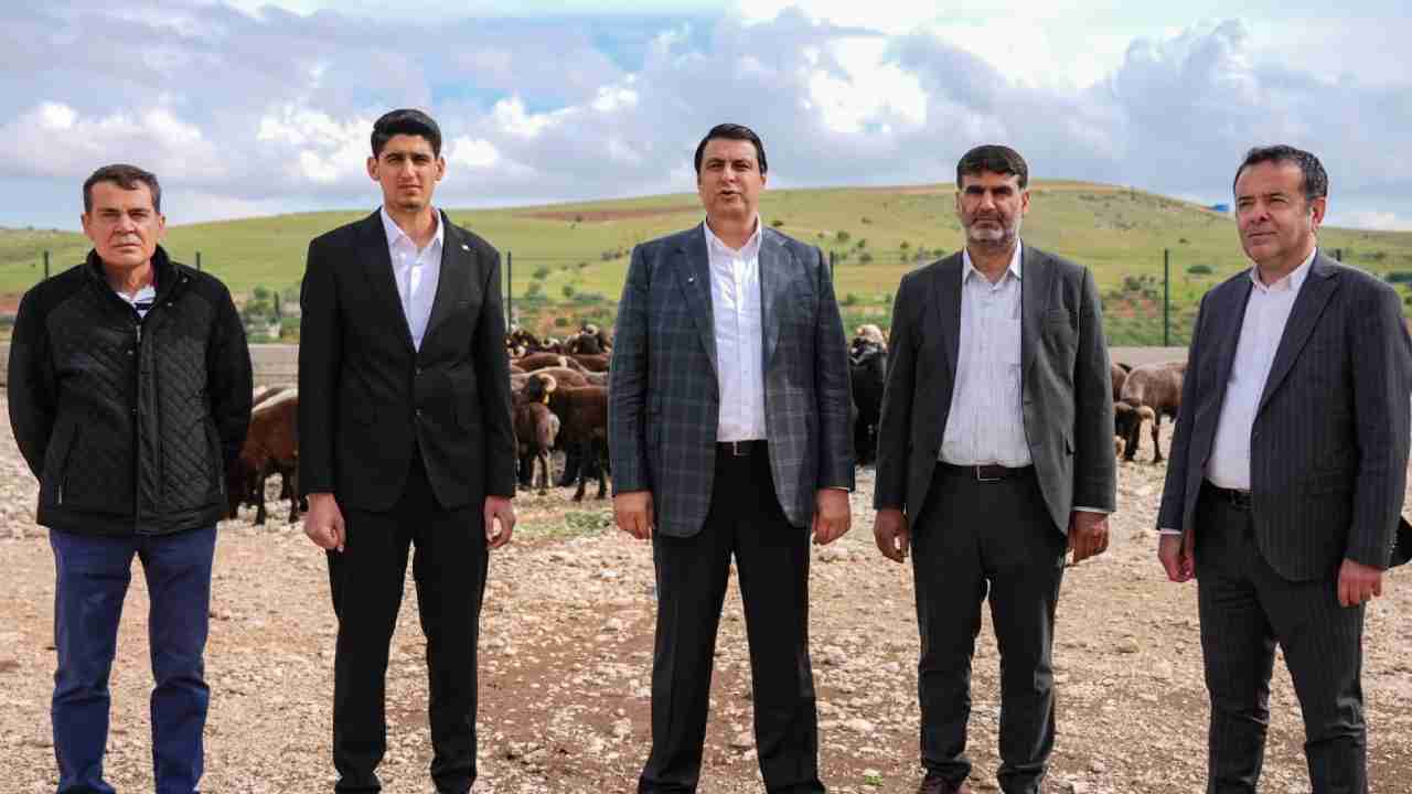 Gaziantep'te Kurban Kesecekler Dikkat! Başkan Umut Yılmaz Açıkladı: Bu Rakamı Gören Şoke Olacak!