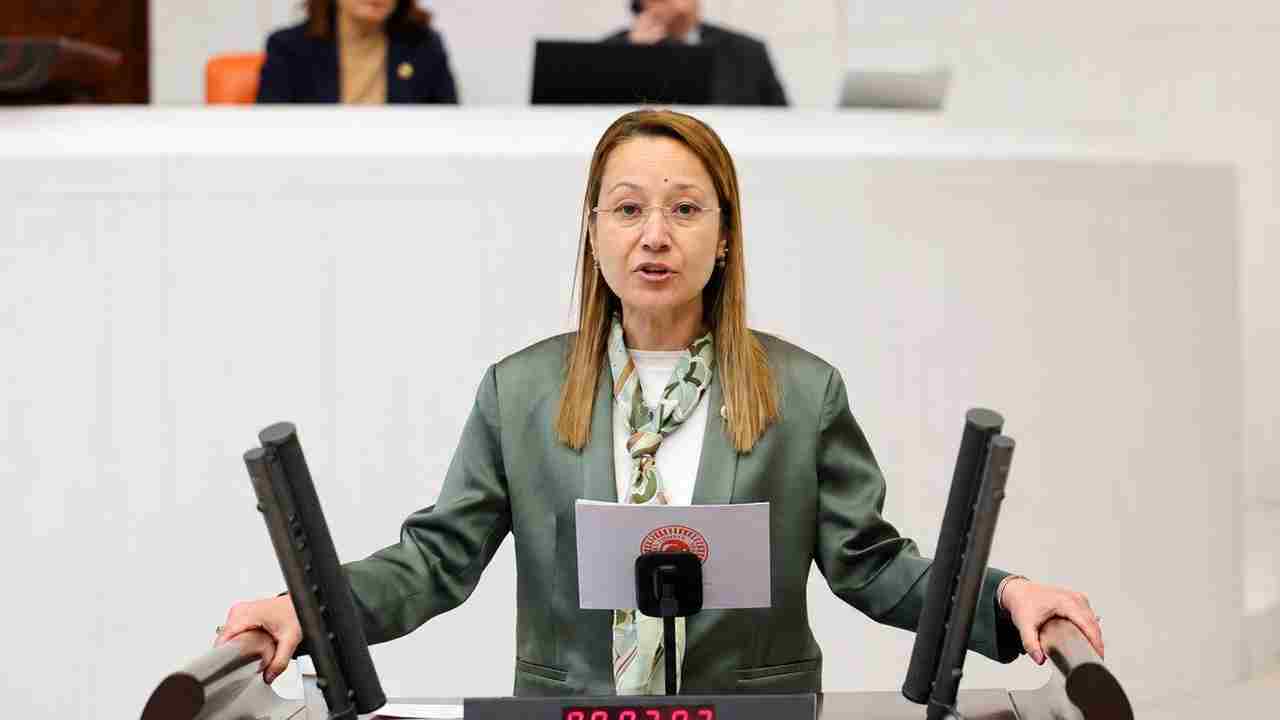 Bakbak: Türkiye, İklim Değişikliğiyle Mücadelede Dünyaya Örnek Bir Model Sunmaktadır