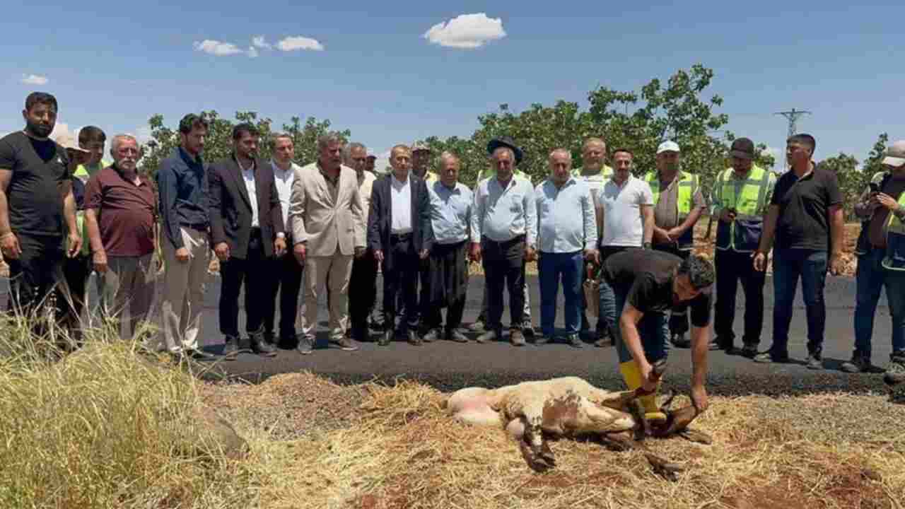 Gaziantep'te tahrip olan yollar asfaltlandı, vatandaşlar adak kurbanı kesti