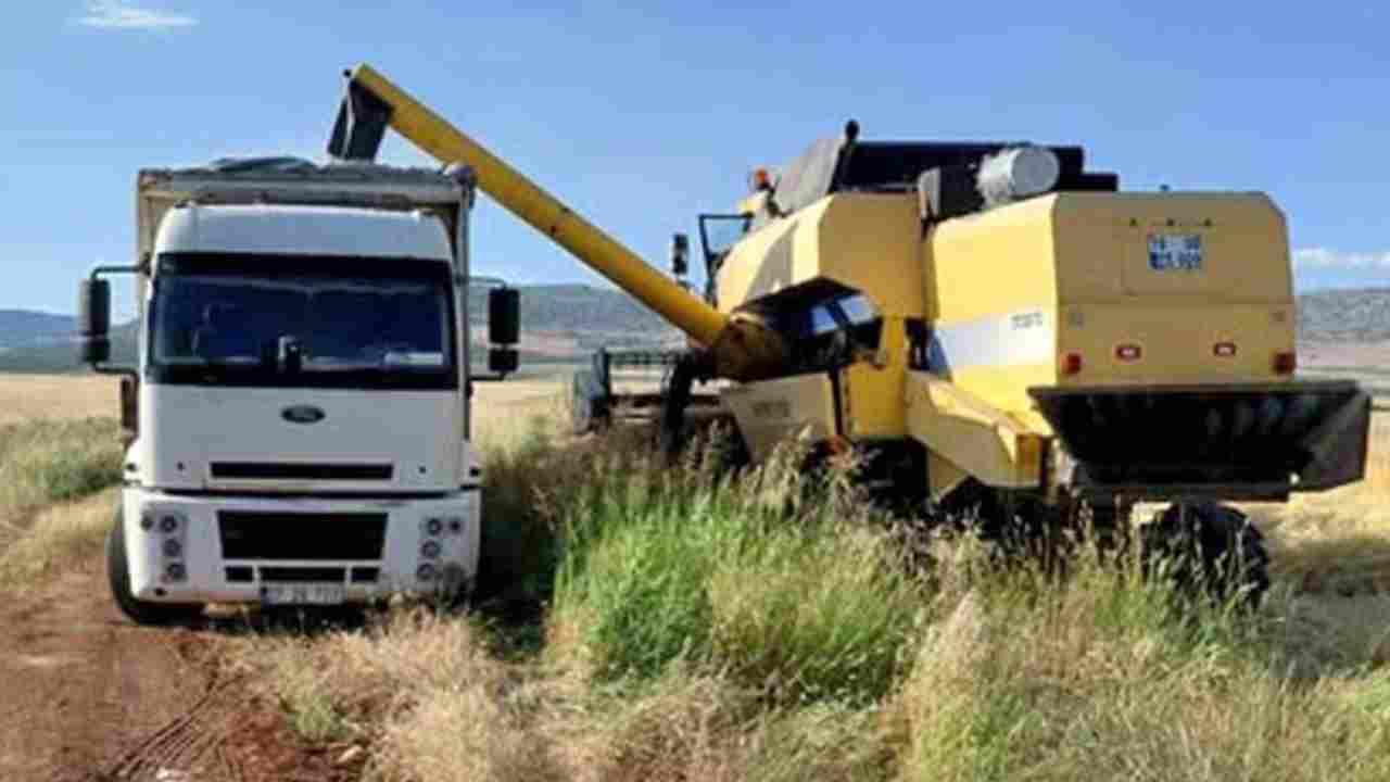 Araban Ovası’nda arpa hasadı yapılmaya başlandı