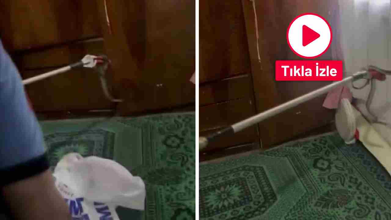 Evde Bir Anda Karşılarına Çıktı! Gaziantep'te Yılan Paniği Kameralara Yansıdı