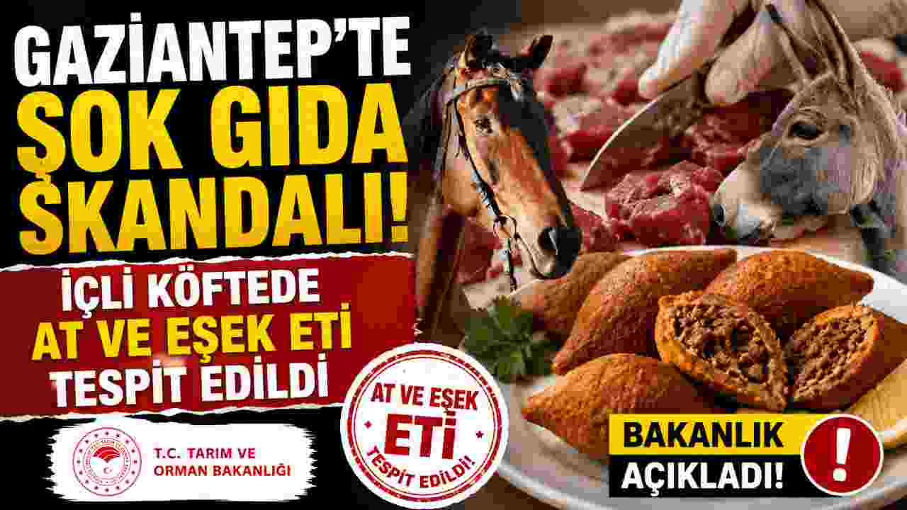 Gaziantep'te Şok Gıda Skandalı! İçli Köftede At ve Eşek Eti Tespit Edildi