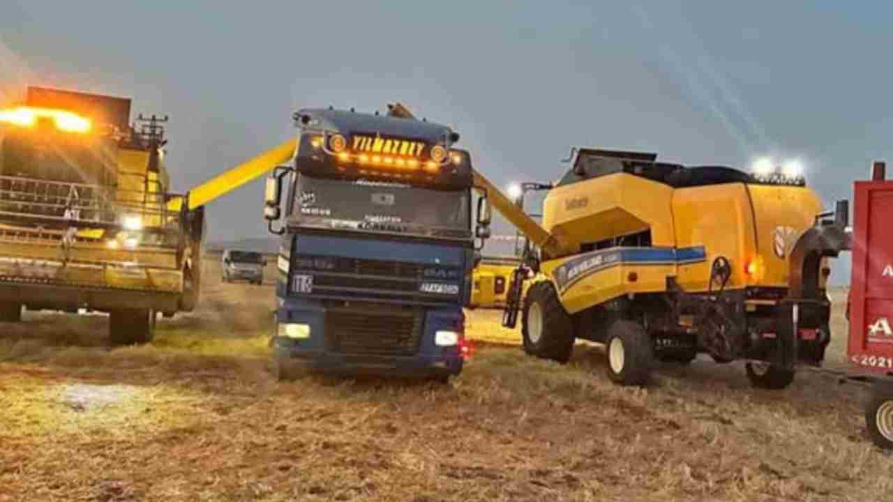Araban Ovası’nda hububat hasadı devam ediyor