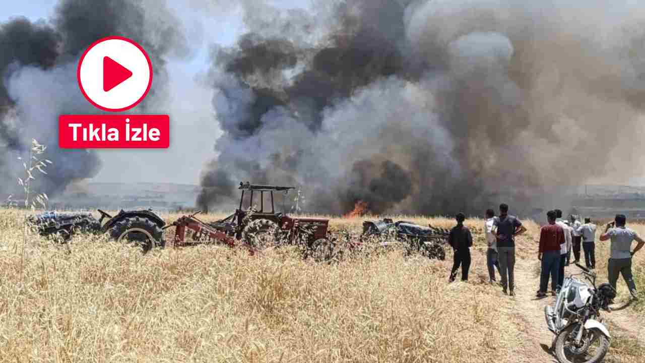 Gaziantep'te Hasada Günler Kala Felaket! 400 Dönümlük Buğday Tarlası Kül Oldu