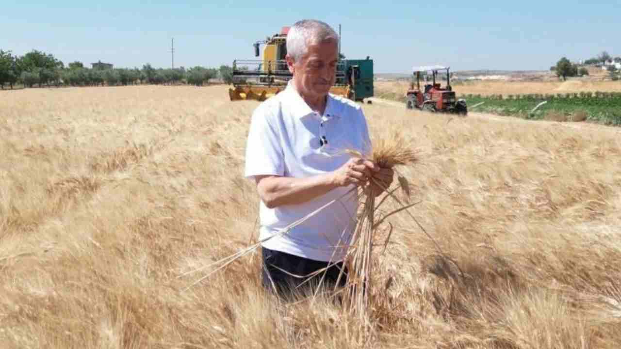 Şahinbey'de Topraktan Bereket Fışkırdı! Başkan Tarlaya İndi, Rekor Hasadı Müjdeledi