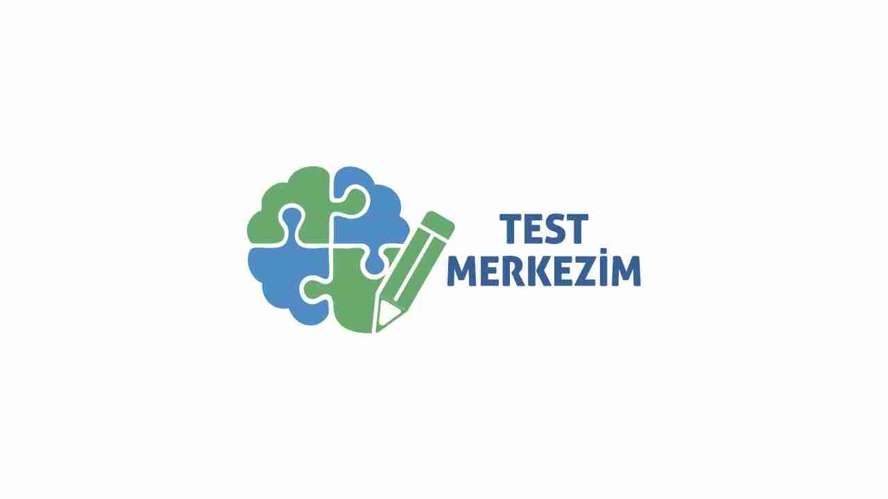 Zekanı Merak Ediyorsan Bu Testi Bir Dene