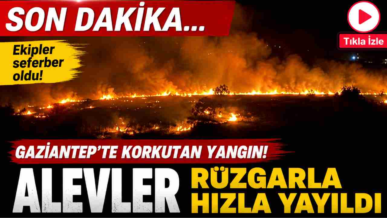 Gaziantep'te korkutan yangın! Alevler rüzgarla hızla yayıldı