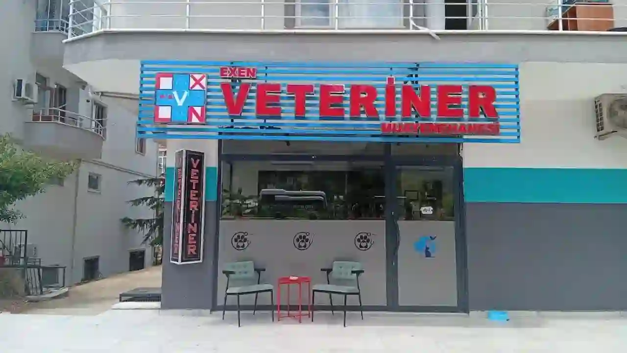 Gölcük Veteriner Hizmeti Nedir?