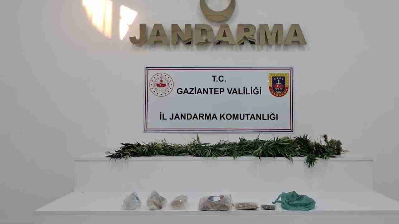 Şahinbey, Nizip ve Karkamış'ta Eş Zamanlı Baskın! Jandarma Zehir Tacirlerine Göz Açtırmadı