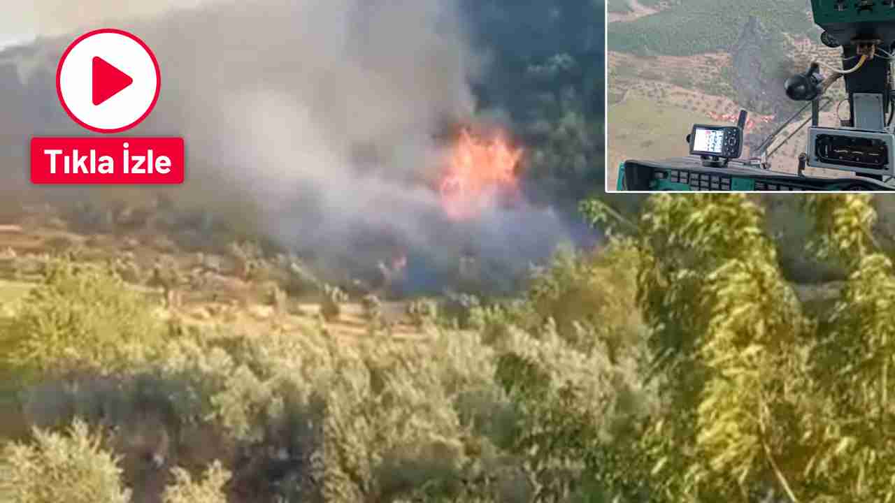 Gaziantep’te Orman Yangını! Helikopter destekli müdahale sonuç verdi