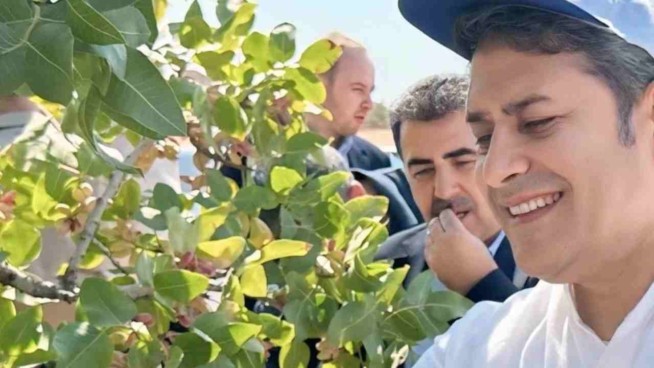 Ali Şahin Duyurdu: “Fıstık Hırsızlarına Karşı Seferberlik İlan Ediyoruz”