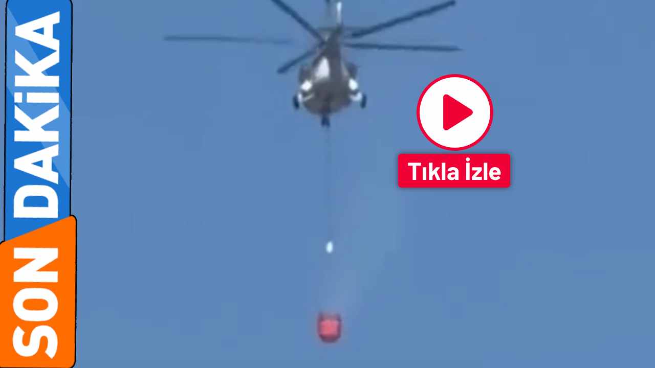 Gaziantep'in Ciğerleri Yanıyor! Gaziantep'te Orman Yangını