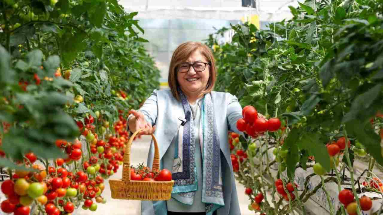 Gaziantep'te Çöpten Gelen Bereket! Fatma Şahin'in Sera Modeli Türkiye'ye Örnek Oldu