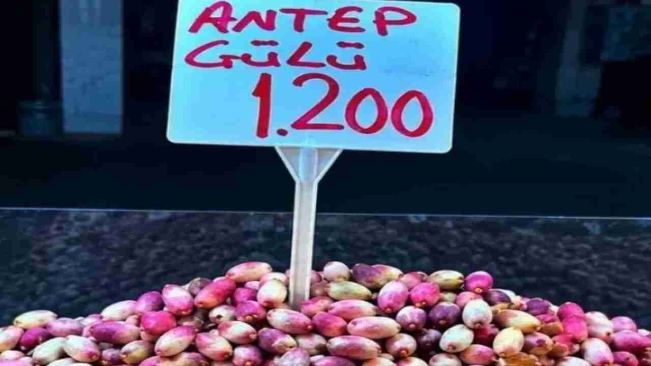 Gaziantep’te Antep Fıstığı Fiyatları Uçtu...
