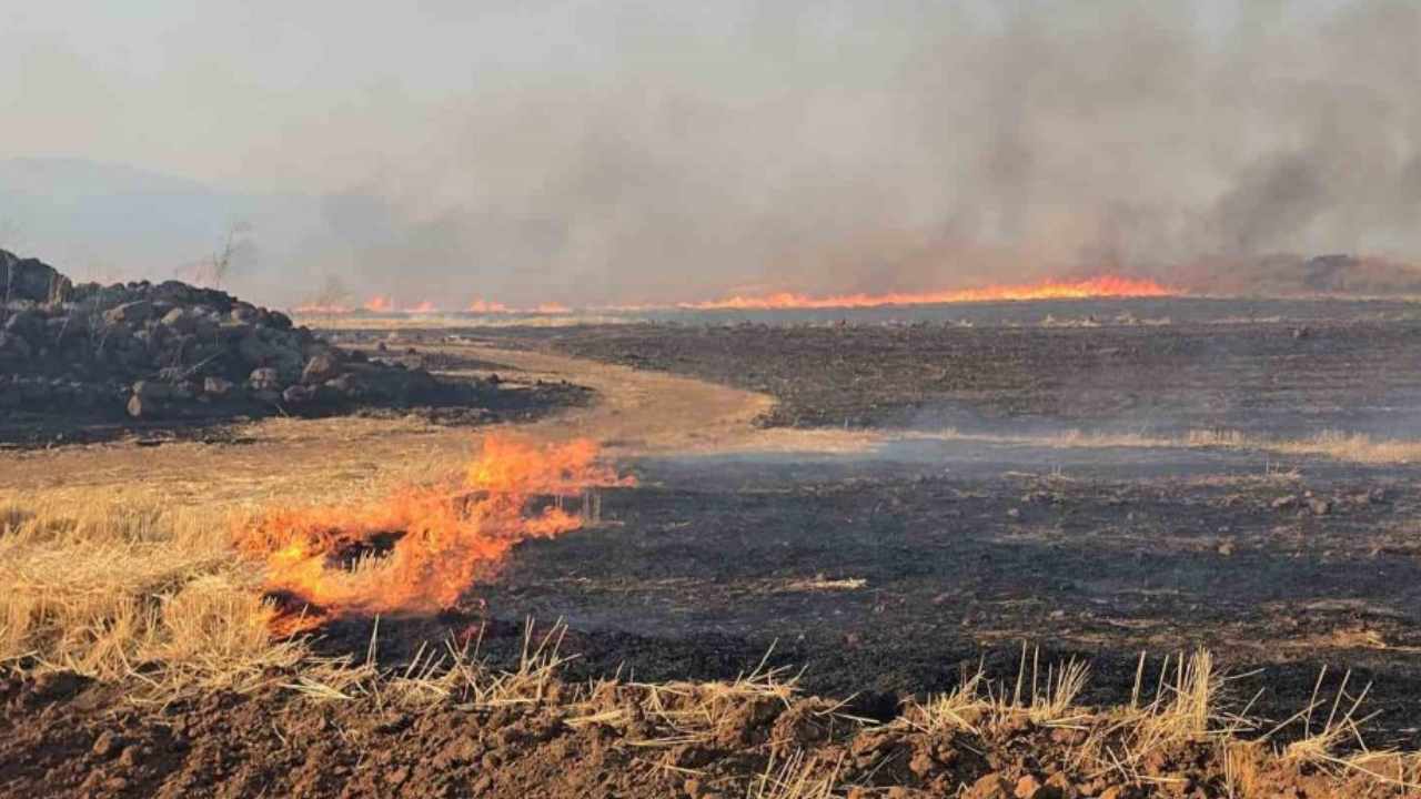 Gaziantep’te Binlerce dönüm arazi ve saman balyası kül oldu