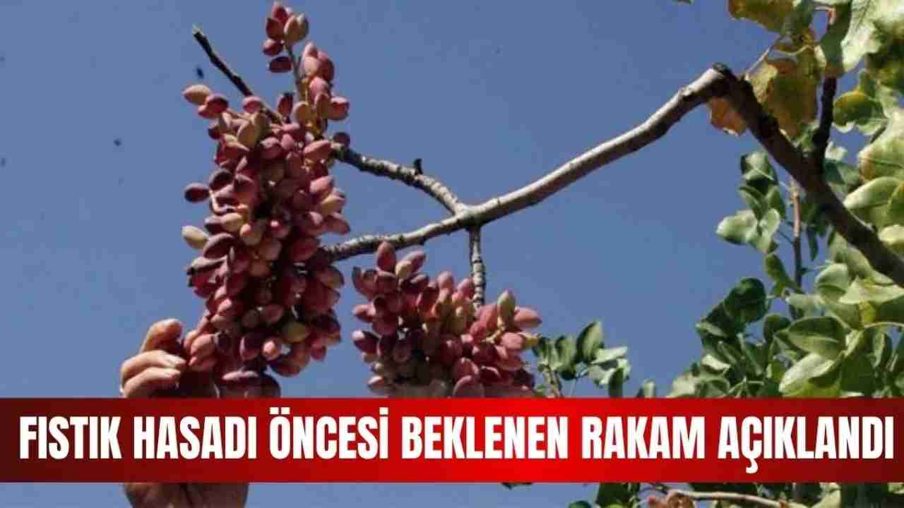 Gaziantep’te Fıstık İşçilerinin 2026 Yevmiyesi Belli Oldu!